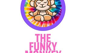 The Funky Monkey Hostel - 18 To 40 Years Old Only